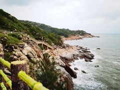 -广东惠东海龟国家级自然保护区