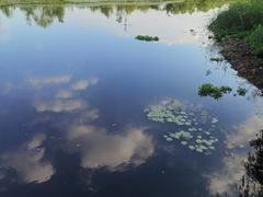 -同里国家湿地公园