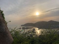 -枸杞岛