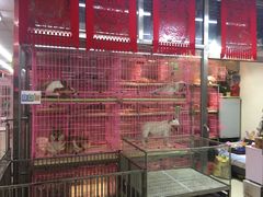店内环境-宝鸡东道花鸟鱼虫市场(吉利花园商场店)