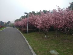 -九里河湿地公园
