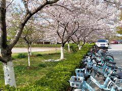 -南京中医药大学(仙林校区)