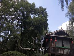 -沈阳植物园