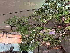 -绿茶餐厅(壹方天地店)