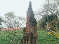 -王借岗森林公园