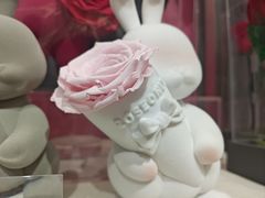 -ROSEONLY诺誓(沈阳万象城店)