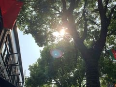-Shanghai Brew House上海啤酒工坊(老外街店)