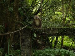 -西岭雪山大飞水景区