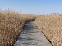-野鸭湖国家湿地公园