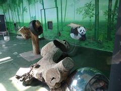 -泰山天颐湖旅游度假区