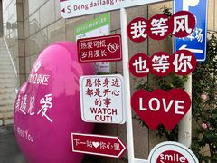 -京东一绝西海子西园烧饼夹肉