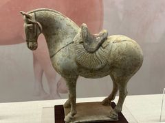 -衢州市博物馆