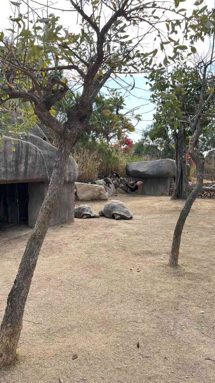 廈門翔安區中非世野野生動物園