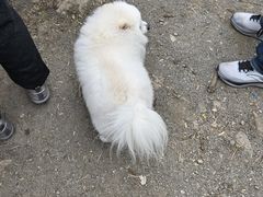 -牛街螺丝田