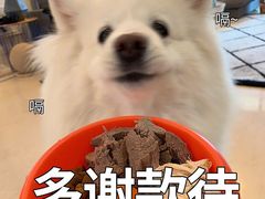 -老黄记手撕烤兔(玉林街店)