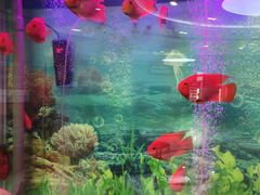 -雅悦齿科(顾村公园店)