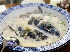 -全乐鱼馆·淳牌有机鱼直营店
