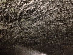 -波斯托伊纳溶洞