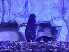-大连老虎滩海洋公园