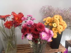 -摩睫+皮肤管理·科学美容中心