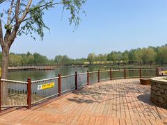 -东郊湿地公园