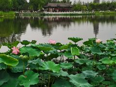 -西海子公园