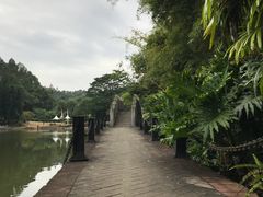 -三水森林公园