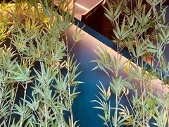 -茉沏(山塘街店)
