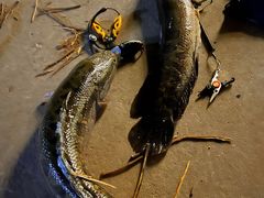 -新怡路亚垂钓园