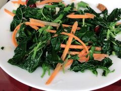 拌龙爪菜-北京龙庆四季香农家饭庄·灶台鱼·碳烤虹鳟鱼(龙庆峡店)