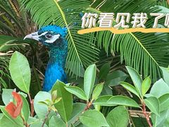 -上海野生动物园