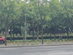 -大望京公园