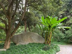 -杭州植物园