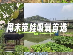 -三水森林公园