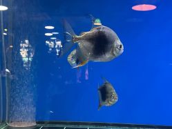 -青木造型HAIR·あおき髪を刈る潮人店