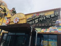 -信不信由你博物馆