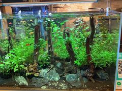 -Rabbit Cafe私房西餐甜点咖啡(栖霞路店)