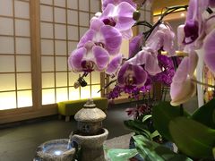 -紫· 割烹  Kappo Murasaki