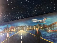-法兰度航空主题餐厅(河源店)