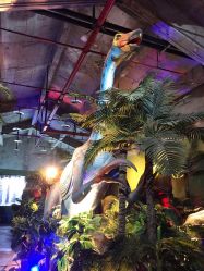 -恐龙探索乐园(磁器口店)