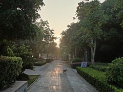 -南翔镇银翔湖公园