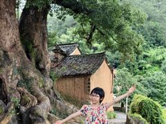-杨家堂村