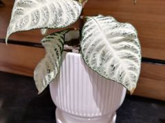 -远大购物中心(南岗店)