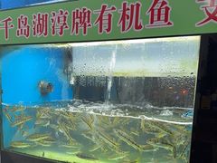 -全乐鱼馆·淳牌有机鱼直营店