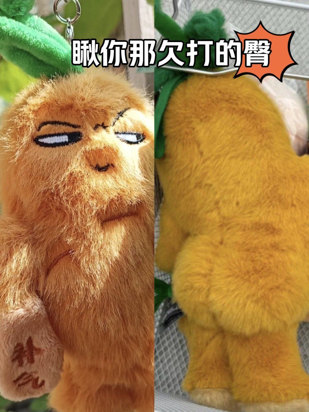 是谁还没有拿下?
谁懂啊家人们!这个黄芪精表情他也太太太贱了吧!