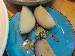 -鸽子窝(宋庄店)