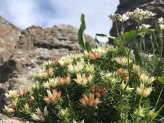 -灵山