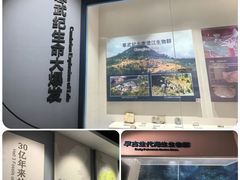 -辽宁古生物博物馆