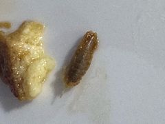 -温州一家人美食(西木头市店)