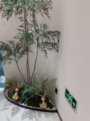 -路堤·普拉提